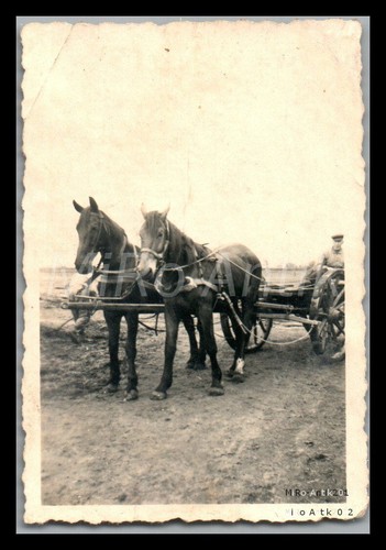 Foto ww2 r 230 - ww2,, 2./i.r.230,