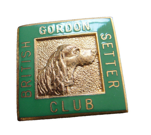 British gordon setter - british, club