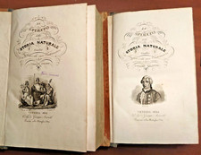 LO SPIRITO DELLA STORIA