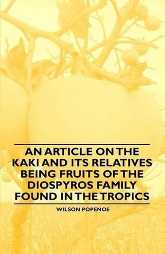 Article the kaki - article,