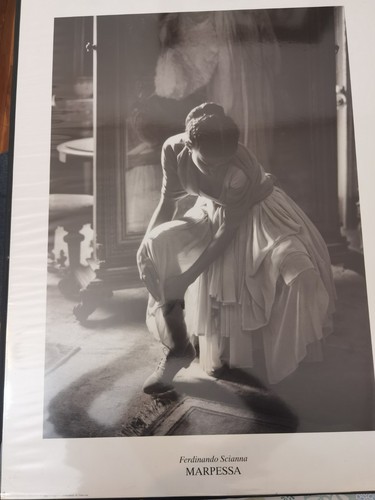 Poster scianna ferdinando - poster,