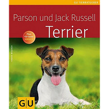 Parson und jack russell - parson,