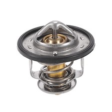 Termostato del liquido di