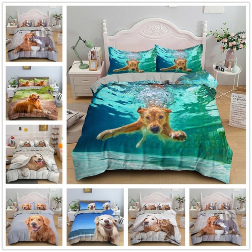 Golden retriever set - golden, di