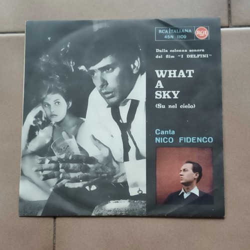 Nico fidenco what sky - fidenco-what, nel