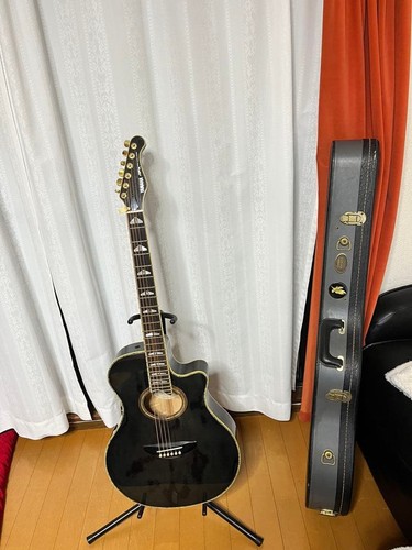 Chitarra acustica elettrica