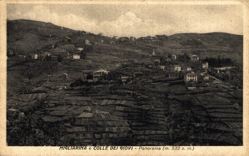 Migliarina colle dei giovi - e,