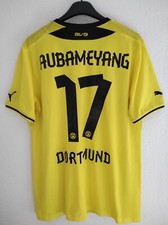 BORUSSIA DORTMUND 2013-2014