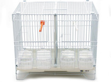 BPS Gabbia Da Incubazione