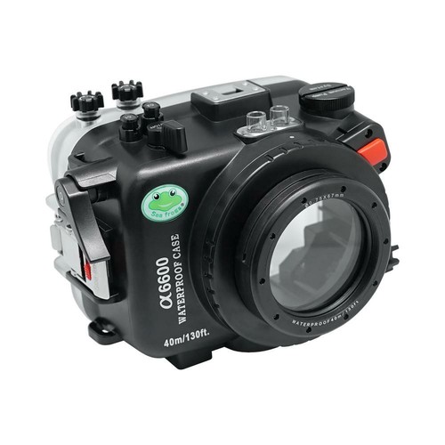 Fotografia subacquea seafrogs - subacquea,