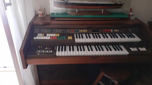 Organo elka play struta in - play,