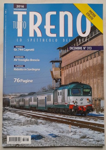 Tutto treno 313 - treno, n.313
