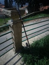 canna bolo daiwa  5 mt e