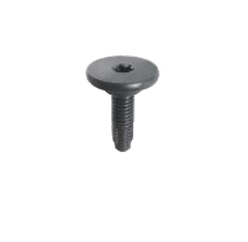 Viti speciali torx metallo - 20,