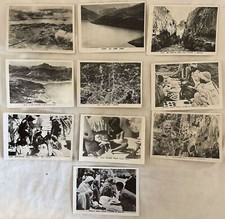 RACCOLTA DI 10 FOTO AFRICA