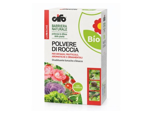 Cifo polvere roccia - polvere,