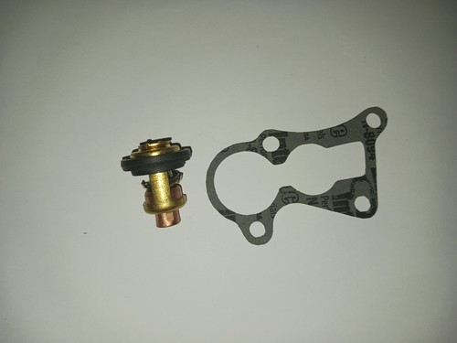 Termostato guarnizione - termostato, e