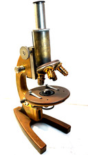 EXC+++ 1890 Carl Zeiss Jena Mikroskop Microscope Microscopio Original N.206548