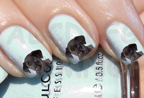 60x water decals cane labrador - decals,
