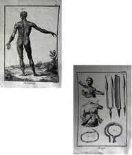 ANATOMIA e STRUMENTI