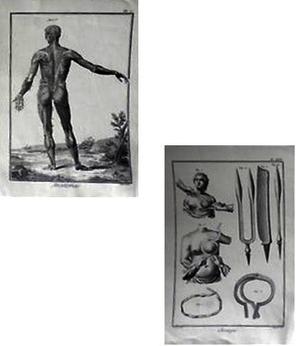 Anatomia strumenti - e,