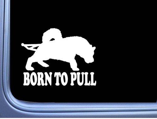 Adesivo born pull l797 - adesivo, 6