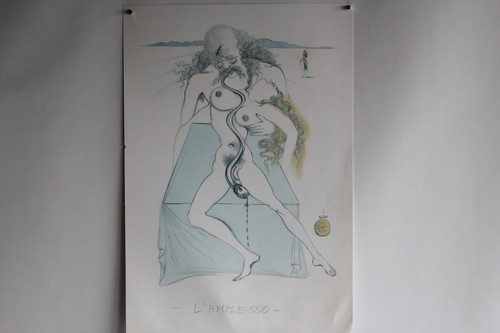 Salvador dali lithographie - salvador,