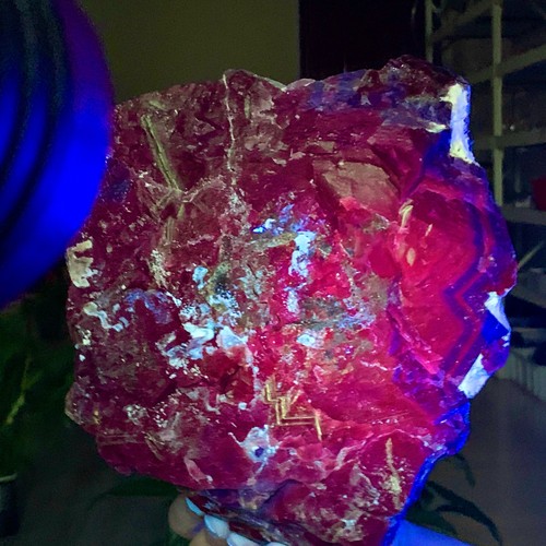 18lbnatural rosa nera cubo - 19,18lbnatural,