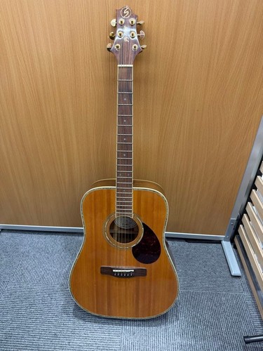 Greg bennett chitarra acustica - greg,