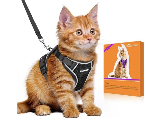 Halypet imbracatura per gatti - imbracatura,