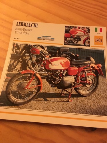 Aermacchi 175 ala - aermacchi, d'oro