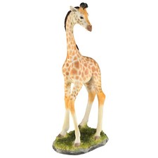 Standing Baby Giraffe Calf