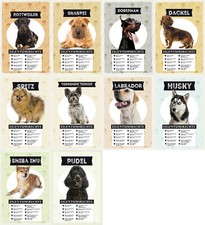 Top-Schilder, HUNDE, versch