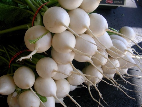 Barbabietola palla neve - palla,