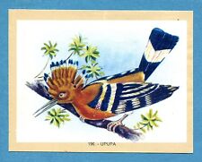 NATURAMA - Lampo 1968 - Figurina-Sticker n. 196 - UPUPA -Rec