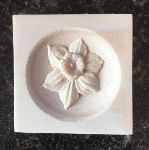 Narciso fiore incisione - , bordo