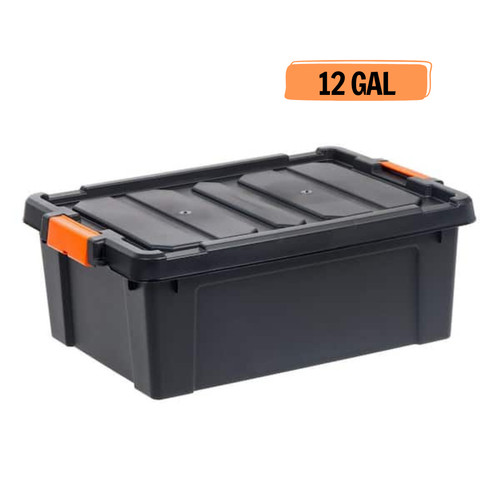 Iris gal contenitore in - gal,