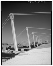 10. DETTAGLIO DI ALBERI E