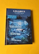 Ligabue arrivederci - , ligabue_arrivederci