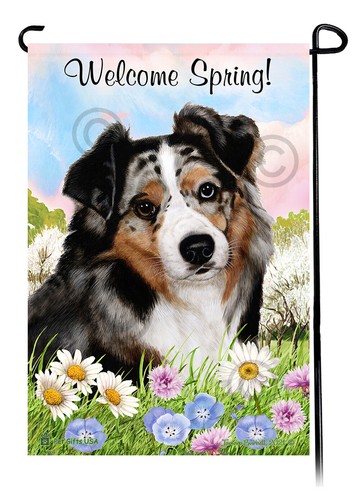 Australian shepherd welcome - australian,