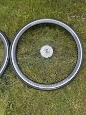 Scirocco campagnolo con - scirocco,