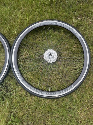 Scirocco campagnolo con - scirocco,