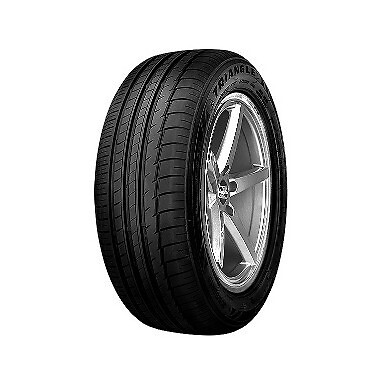 295 r21 107 triangle - 295/35, y