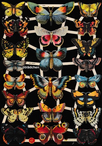 Immagini lucide ef 7426 - lucide,