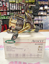 Mulinello Mitchell Avocet