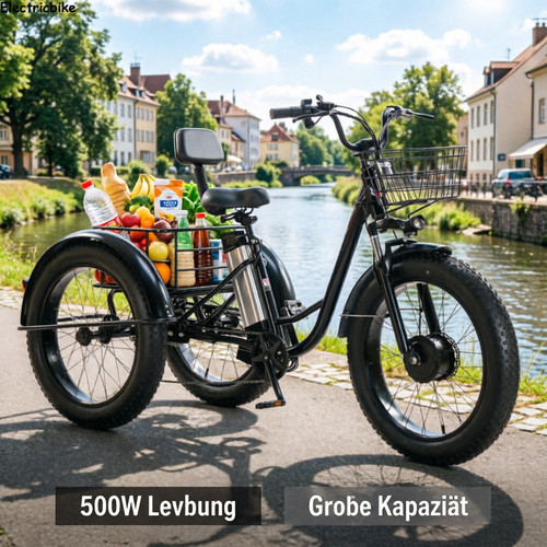 Triciclo elettrico 500w 48v - elettrico,
