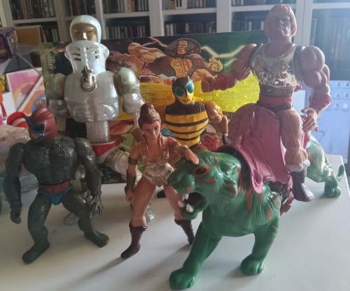 Masters the universe lotto - masters,
