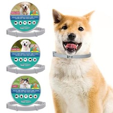 1 collare pulci e zecche