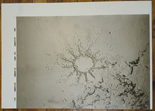 Joseph Beuys : Offset signée