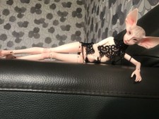 Bambola fantasy 1/4 BJD Sphynx